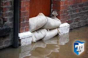 Water Damage Repair Kensington